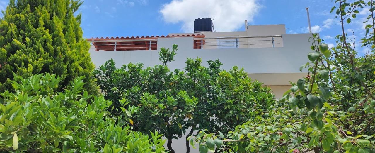 Villa Elli Hersonissos  Exterior foto